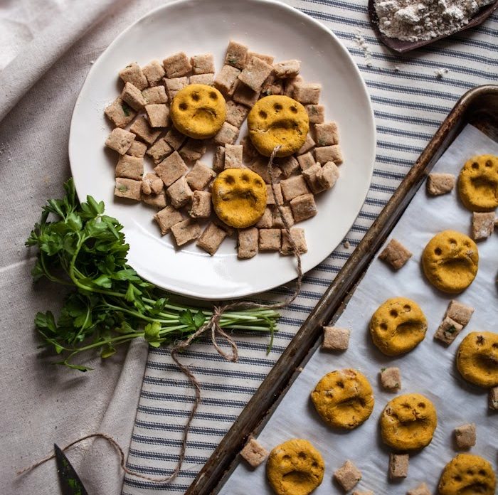 Homemade Dog and Cat Treats with Pumpkin Tuna and Flax