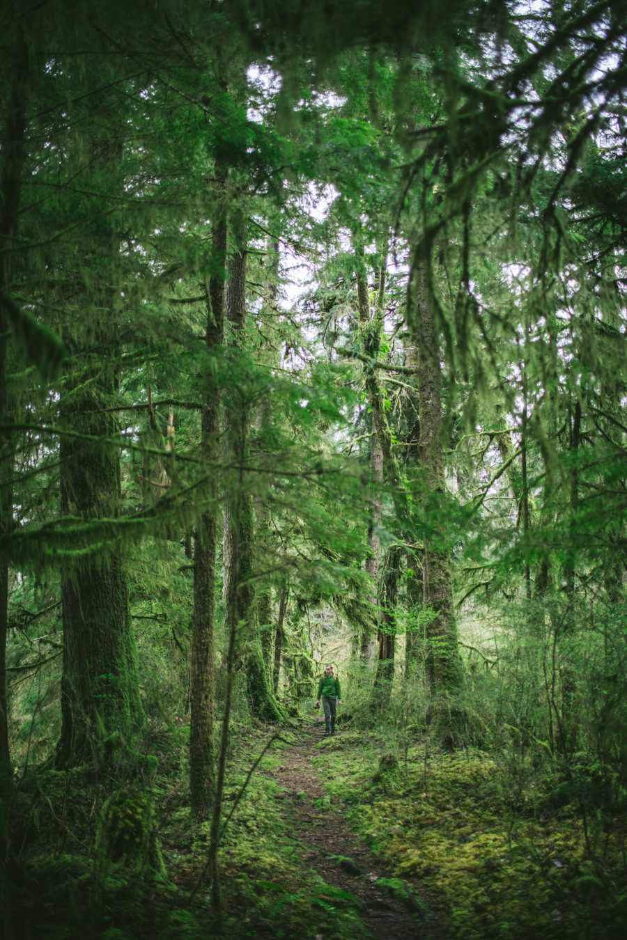 Olympic-National-Park-by-Eva-