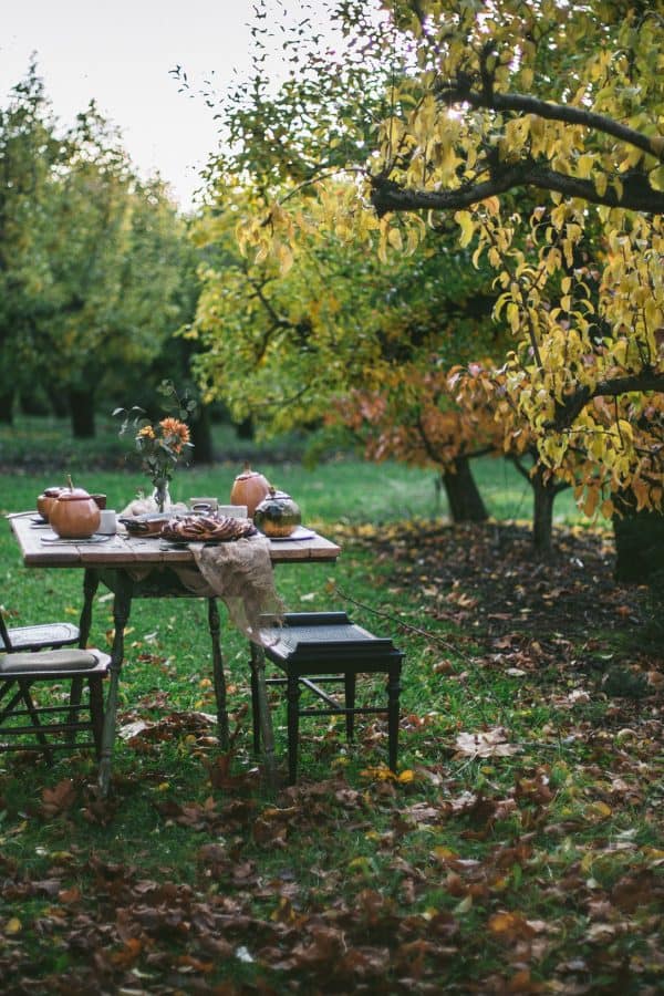Press Eva Kosmas Flores