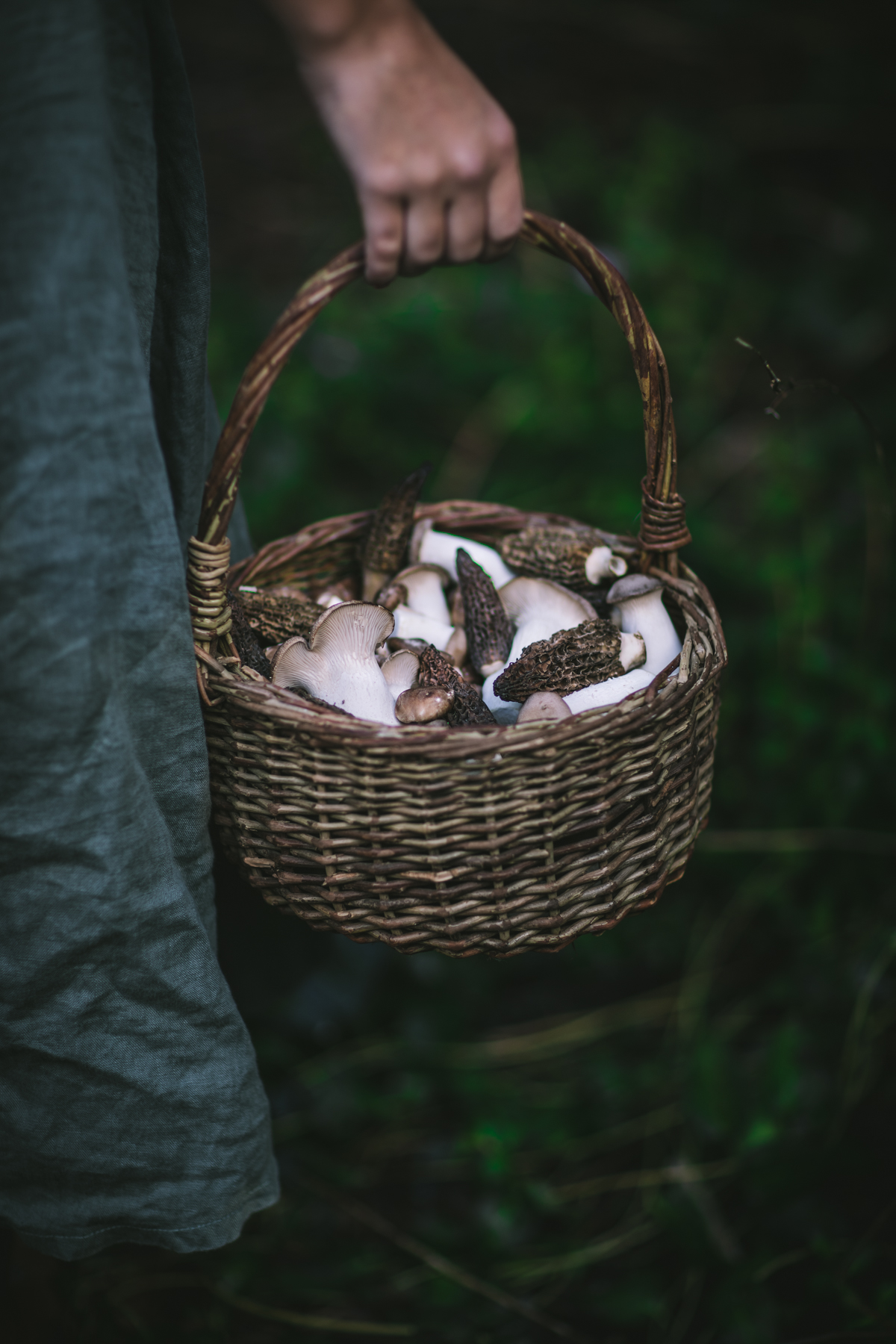Mushrooms in a Basket
