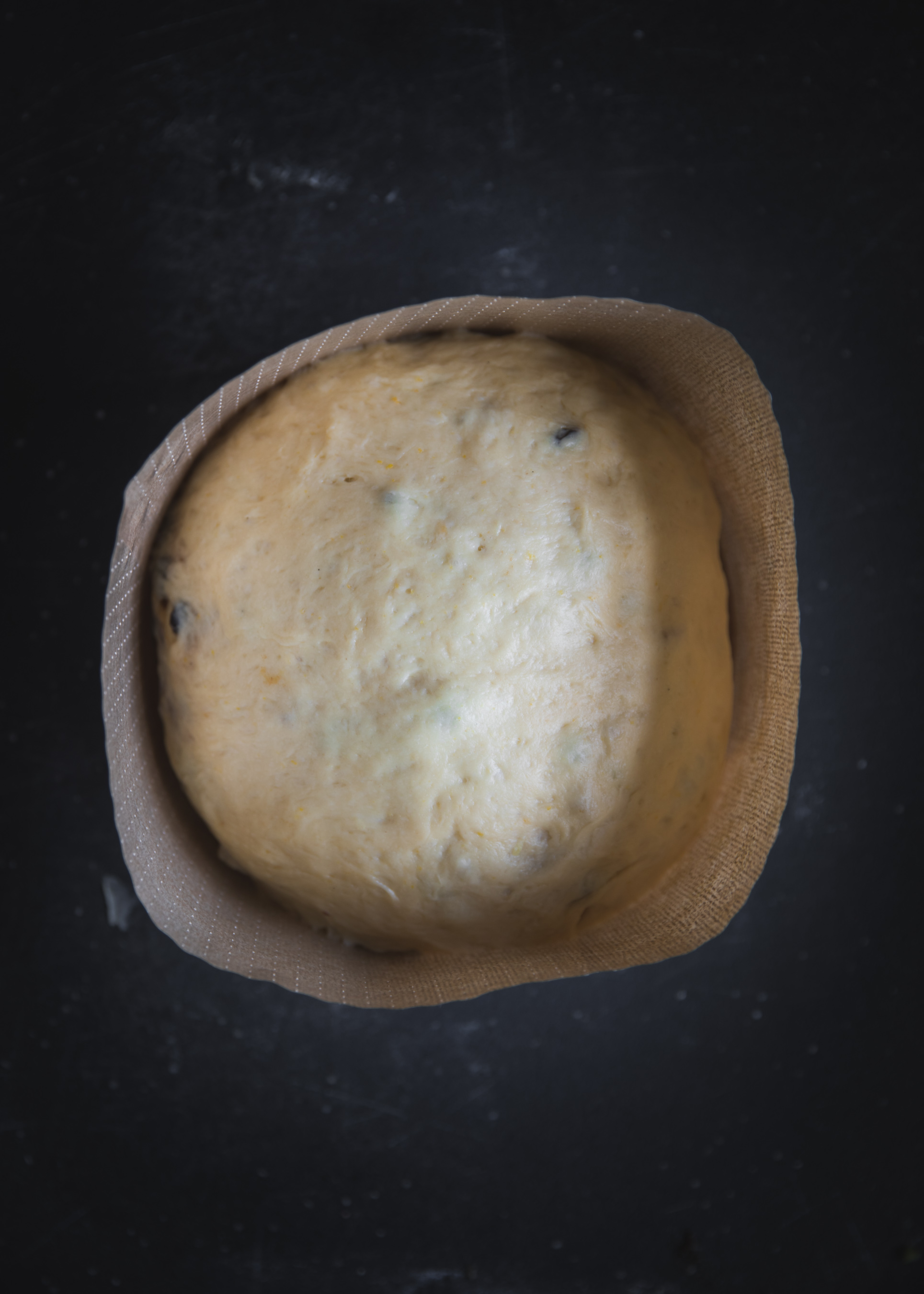 Dough in Panettone Mold