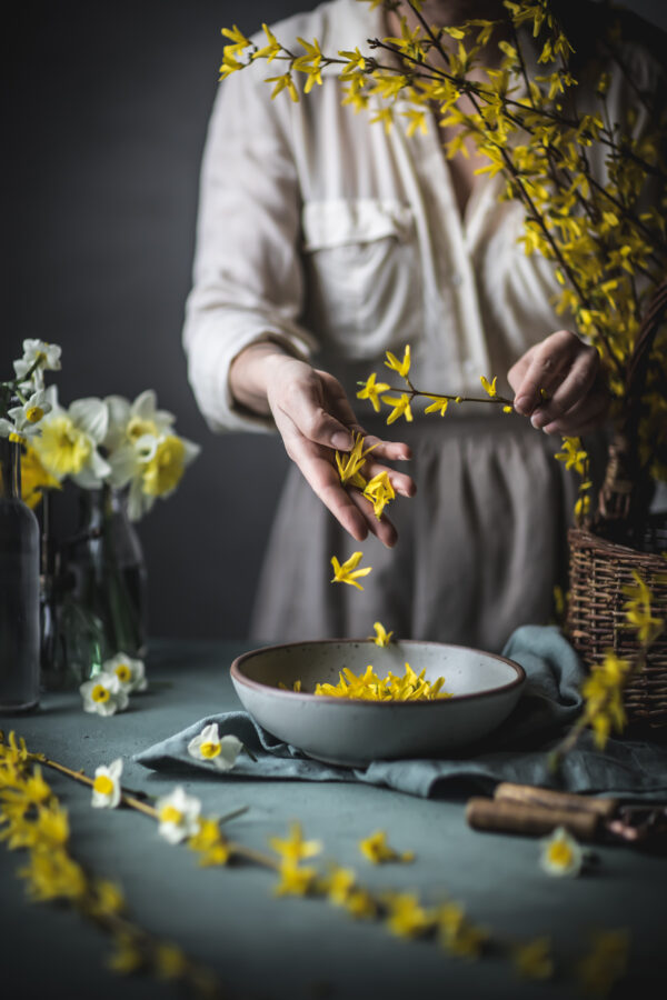 Forsythia Edible Flowers