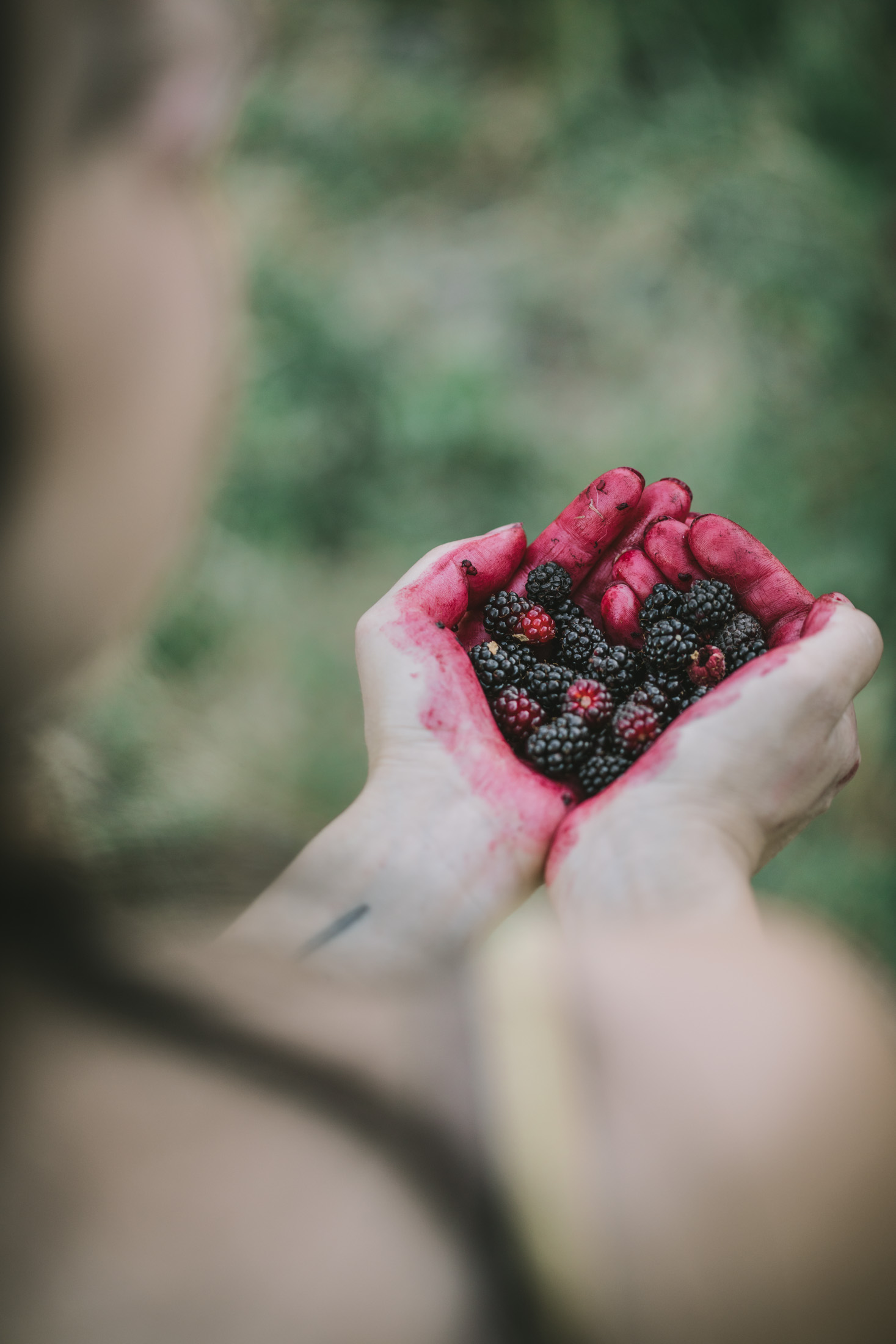 Blackberry Picking by Eva Kosmas Flores
