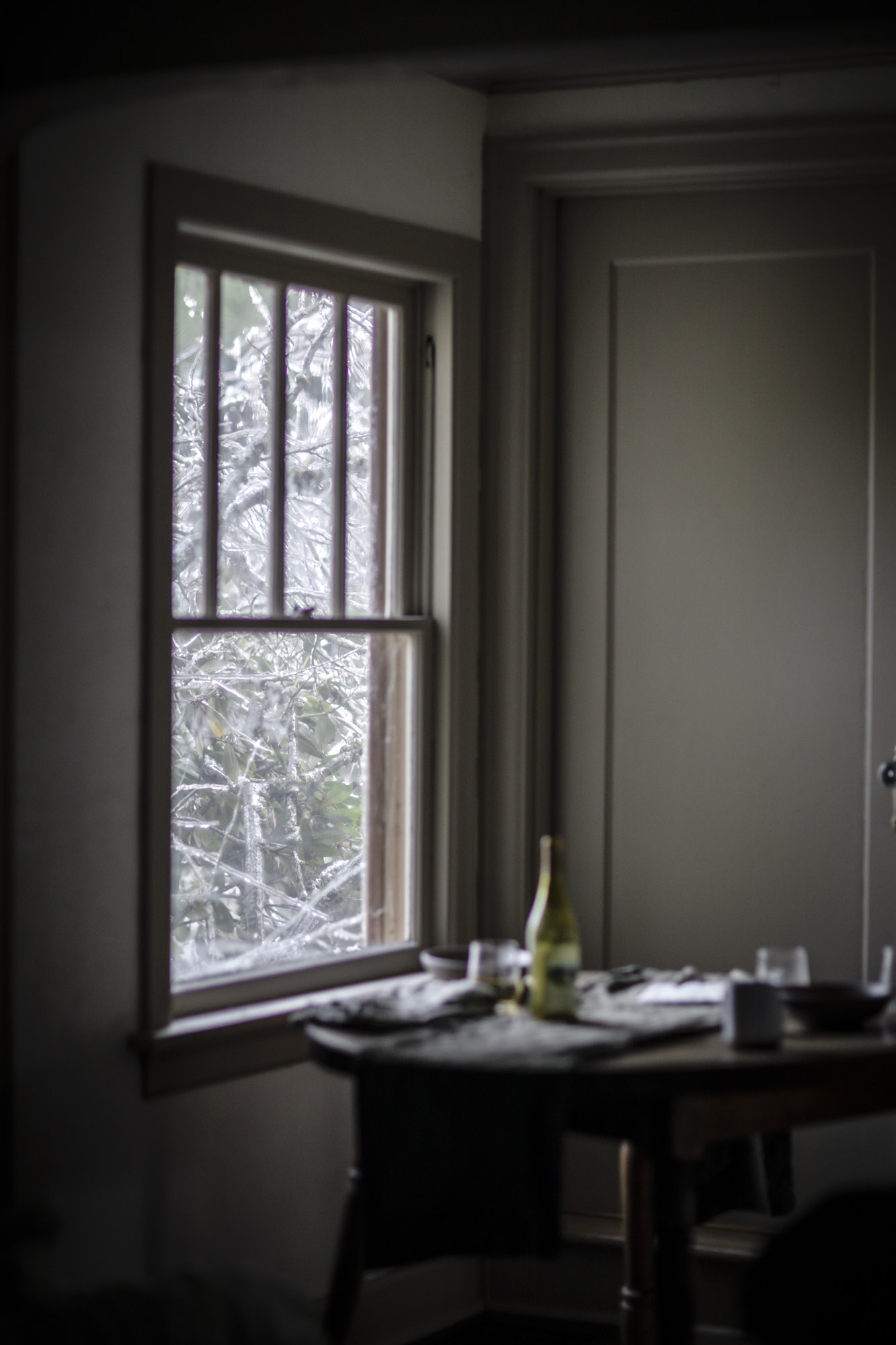 Winter Storm Window