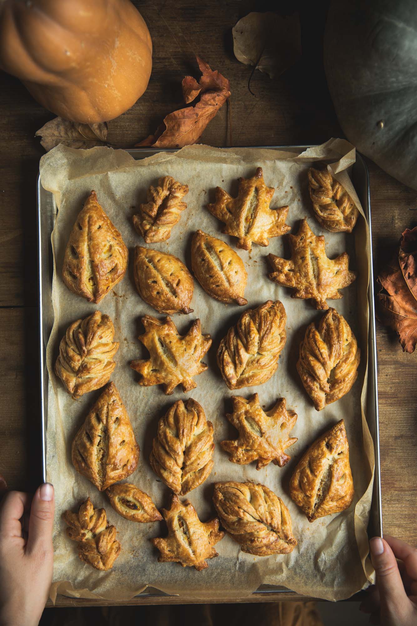 Savory Pumpkin Chevre Hand Pies