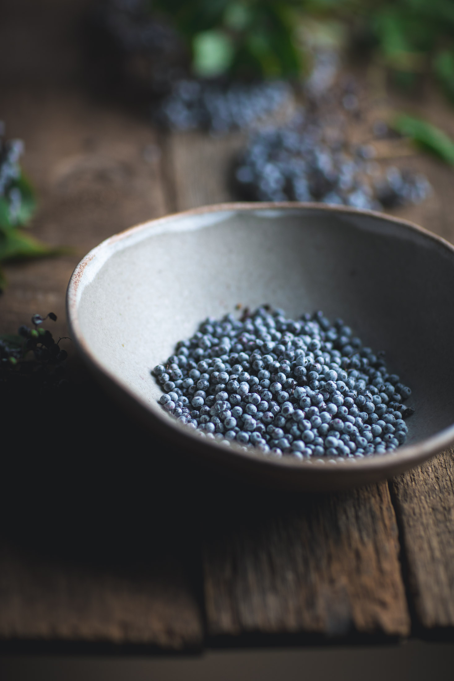 Fresh Elderberries