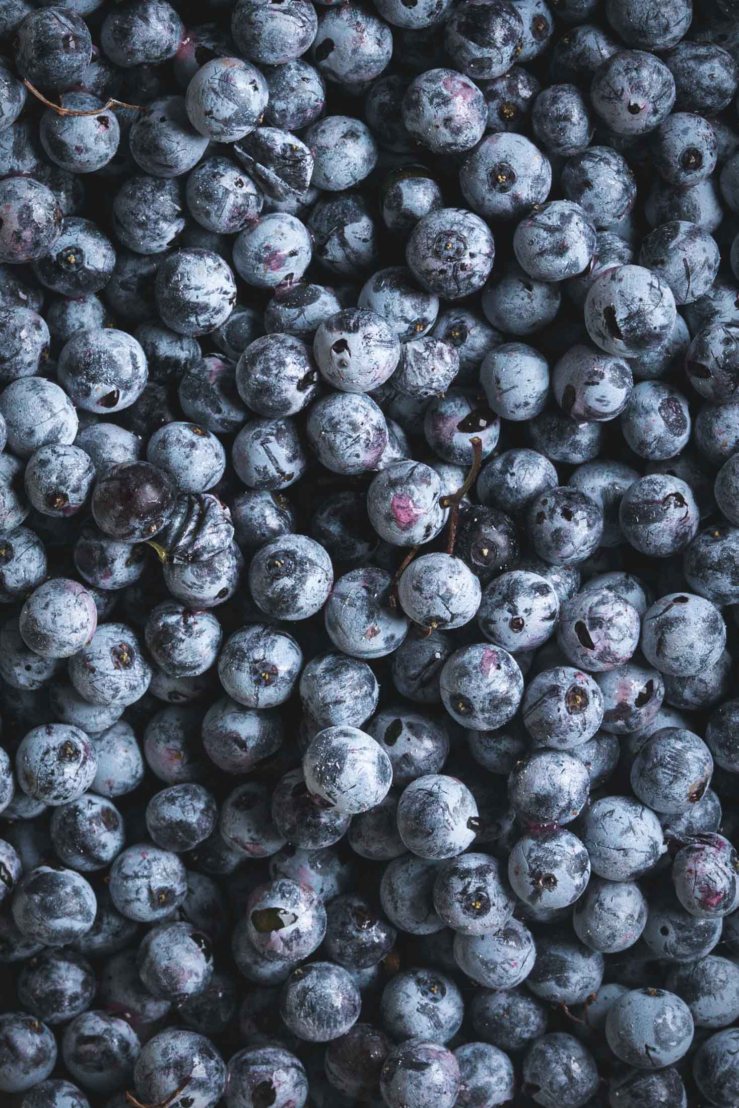 Fresh Elderberries