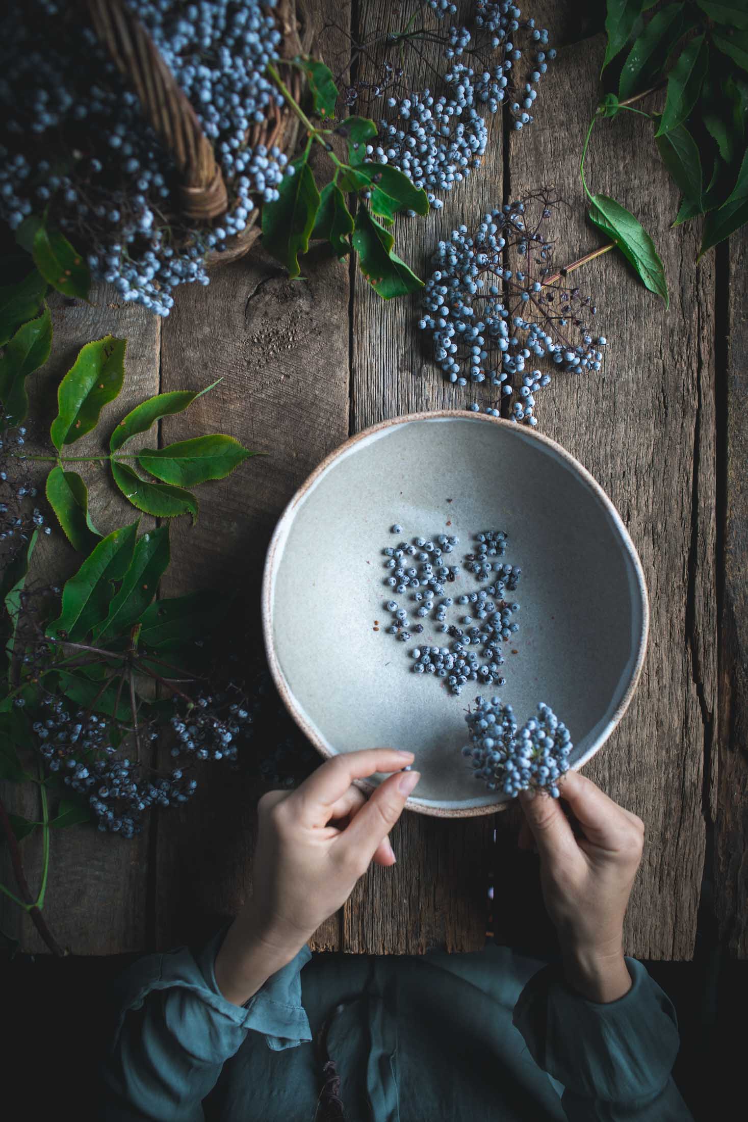 Elderberry Picking